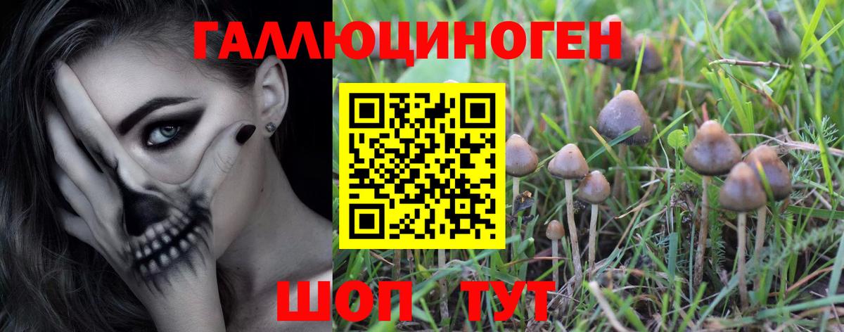 Псилоцибиновые грибы MAGIC MUSHROOMS Ижевск
